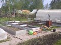 Продажа садового участка: п. Кедровка, СТ 