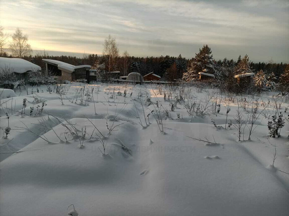 г. Полевской, СНТ Летний Стан (городской округ Полевской) - фото сада (2)