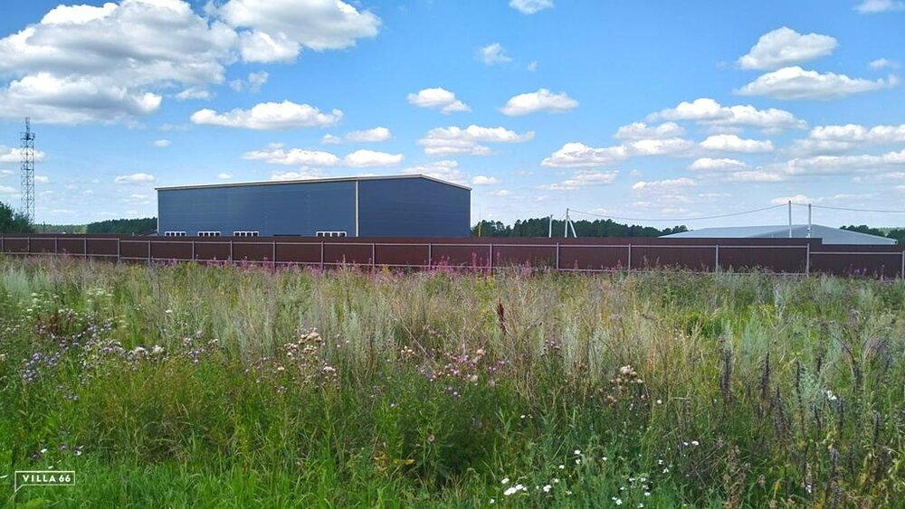 к.п. Радость, уч. 254 (городской округ Белоярский, п. Рассоха) - фото земельного участка (1)