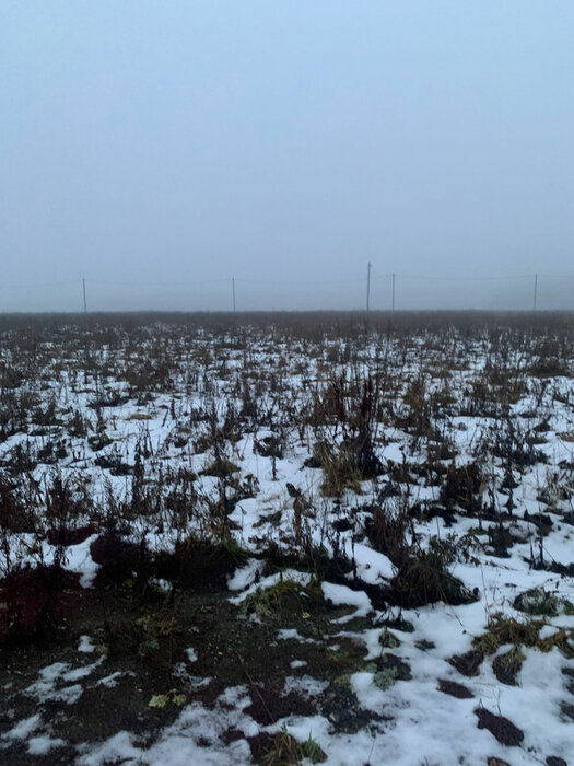 д. Ключи (г.о. Сысертский), ул. Земляничная (городской округ Сысертский) - фото земельного участка (8)