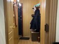 Аренда квартиры: Екатеринбург, ул. Вильгельма де Геннина, 42 (Академический) - Фото 5