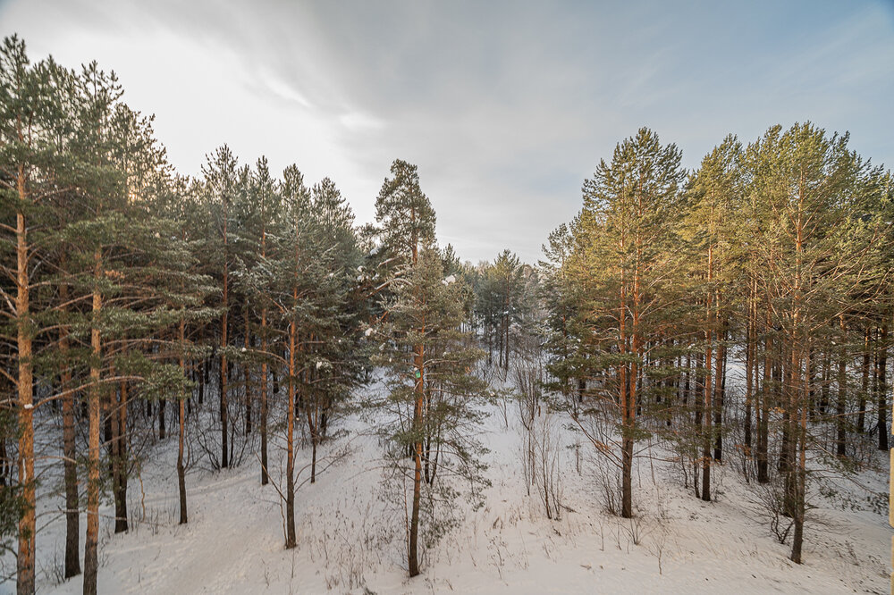 г. Среднеуральск, ул. Гашева, 6В (городской округ Среднеуральск) - фото квартиры (1)