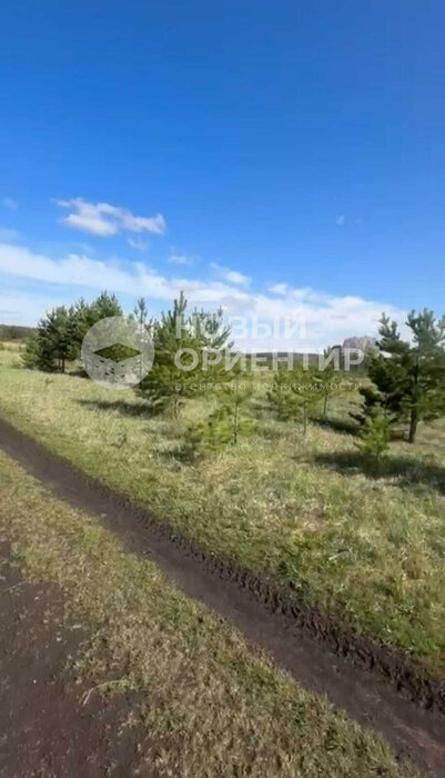 д. Ключи (г.о. Сысертский), ул. Клубничная (городской округ Сысертский) - фото земельного участка (1)