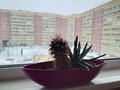 Продажа квартиры: Екатеринбург, ул. Бессарабская, 10а (Компрессорный) - Фото 8