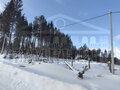 Продажа земельного участка: г. Ревда, ул. Летняя (городской округ Ревда) - Фото 1