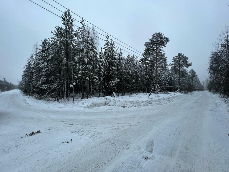 Екатеринбург, СНТ 