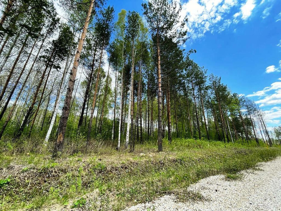 с. Новоалексеевское, городской округ Первоуральск, Пермское направление, 30км., ул.Буденного,  (Выберите район) - фото земельного участка (3)