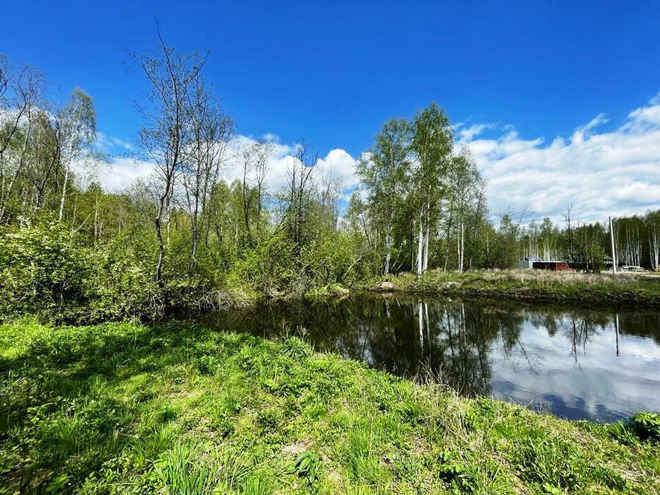 с. Новоалексеевское, городской округ Первоуральск, Пермское направление, 30км., ул.Буденного,  (Выберите район) - фото земельного участка (4)