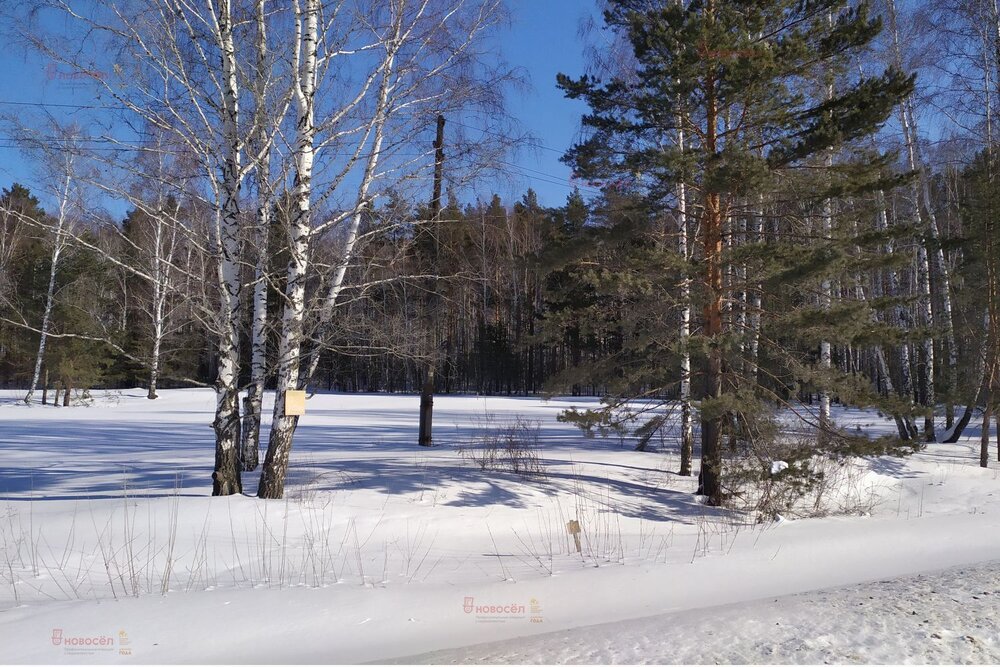 Белоярский городской округ, ул.Р-351, 32-й километр, 4А (Выберите район) - фото земельного участка (8)