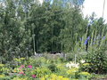 Продажа садового участка: Екатеринбург, снт Магистраль, уч. 2 - Фото 2