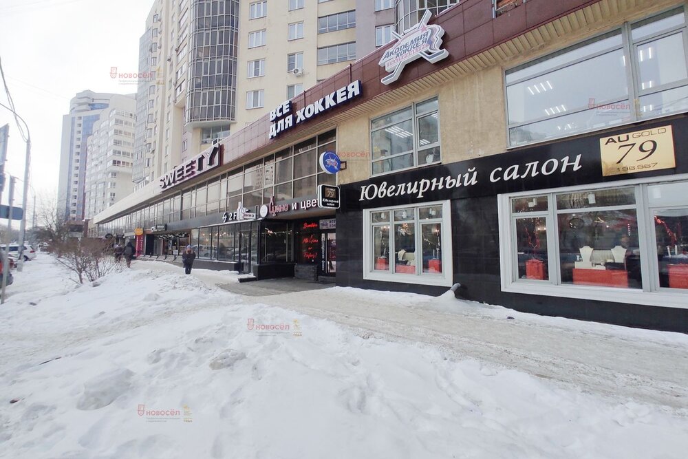 Екатеринбург, ул. Хохрякова, 72 (Центр) - фото торговой площади (4)