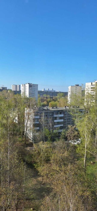 Екатеринбург, ул. Крауля, 75к1 (ВИЗ) - фото квартиры (3)
