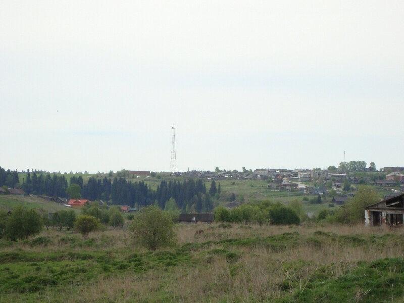п. Чусовое (городской округ Шалинский) - фото земельного участка (2)