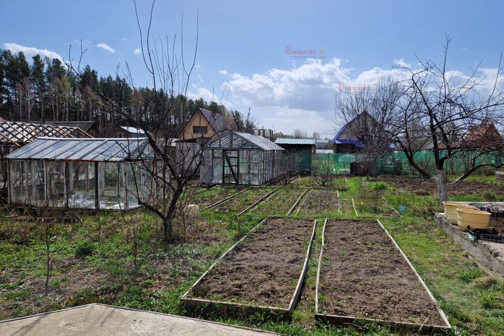 п. Кедровка, Коллективный сад №74 (городской округ Березовский) - фото сада (3)