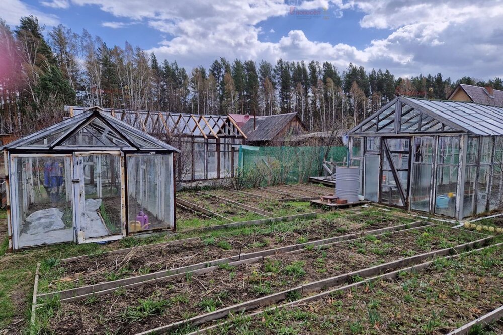 п. Кедровка, Коллективный сад №74 (городской округ Березовский) - фото сада (6)