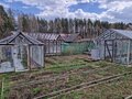 Продажа садового участка: п. Кедровка, Коллективный сад №74 (городской округ Березовский) - Фото 6