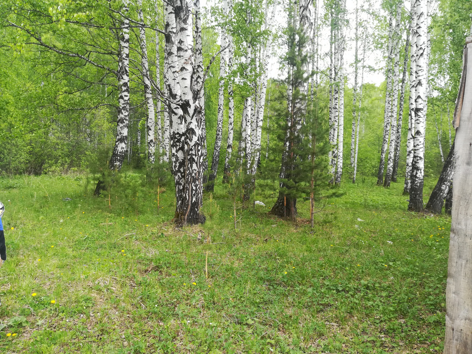 п. Бережок, уч. 1б (городской округ Дегтярск) - фото земельного участка (1)