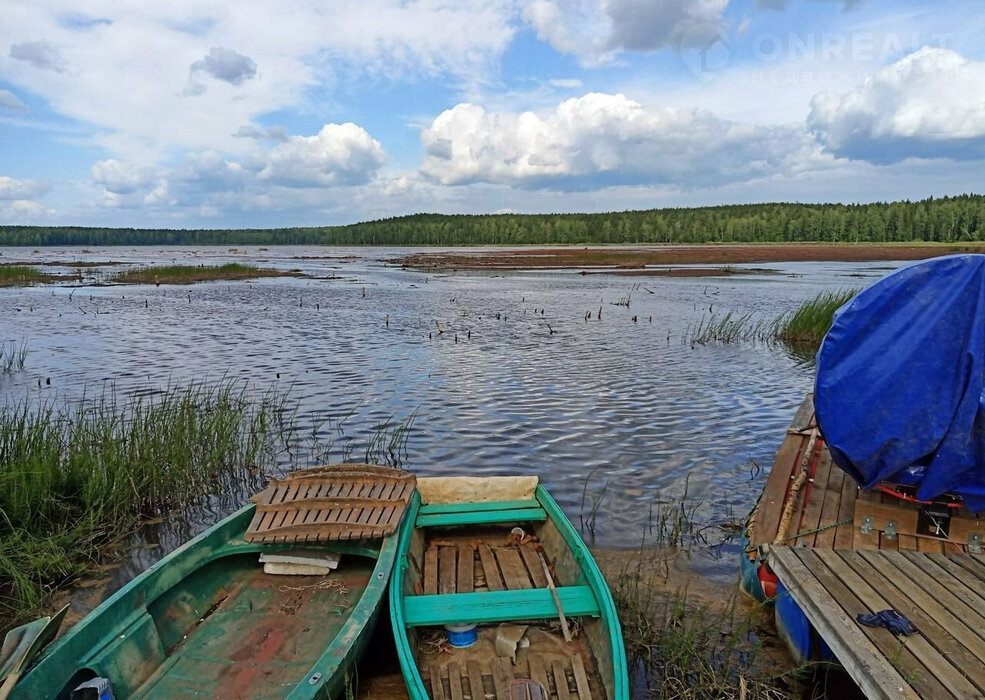 п. Бережок, уч. 1б (городской округ Дегтярск) - фото земельного участка (3)