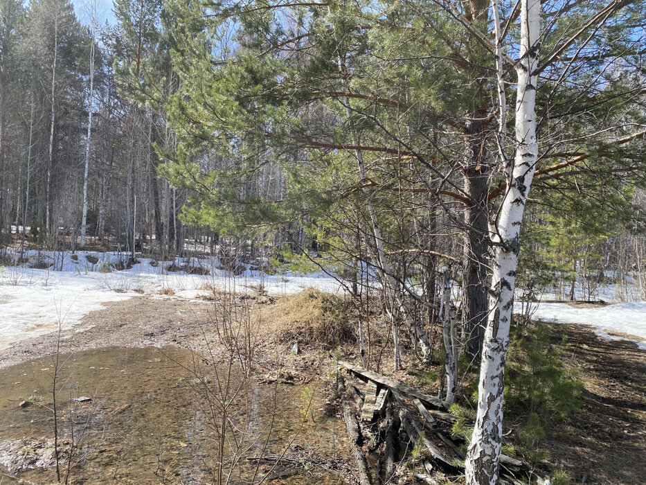 п. Бережок, уч. 1б (городской округ Дегтярск) - фото земельного участка (5)