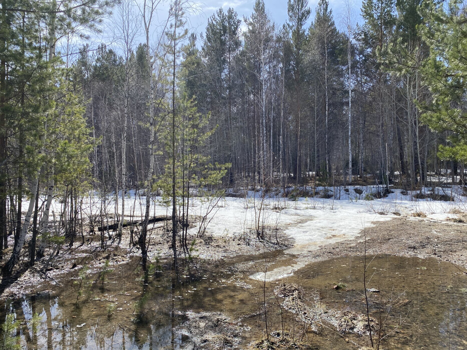 п. Бережок, уч. 1б (городской округ Дегтярск) - фото земельного участка (7)