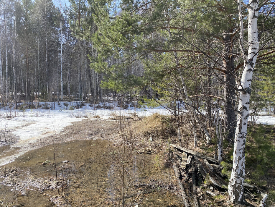 п. Бережок, уч. 1б (городской округ Дегтярск) - фото земельного участка (8)