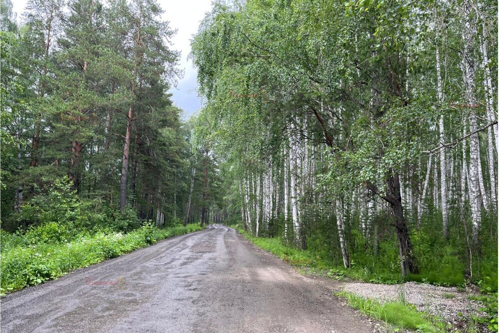 к.п. Улесье (Чкаловский район) - фото земельного участка (3)