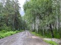 Продажа земельного участка: к.п. Улесье (Чкаловский район) - Фото 3