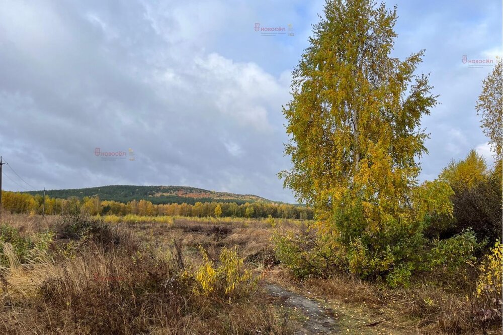 Екатеринбург, ул. в районе р. Чусовая (Верхнемакарово) - фото земельного участка (3)