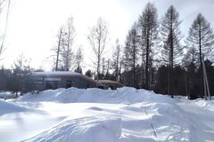 к.п. Межгорье, ул. Лесная, 33 (городской округ Дегтярск) - фото дома