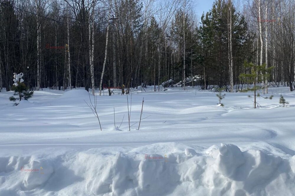 п. Монетный, коллективный сад № 95 Кедр, уч. 5.2 (городской округ Березовский) - фото сада (4)