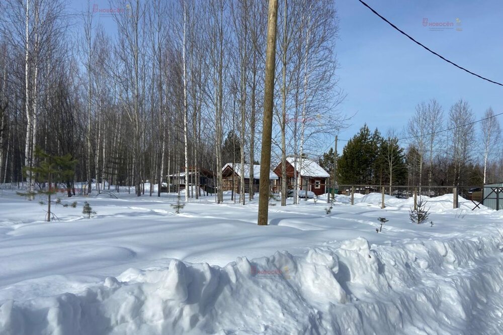 п. Монетный, коллективный сад № 95 Кедр, уч. 5.2 (городской округ Березовский) - фото сада (7)