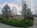 Продажа квартиры: Екатеринбург, ул. Московская, 249 (Автовокзал) - Фото 8