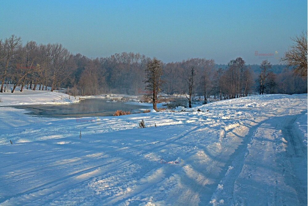 Екатеринбург, ул. Луговая, 56 (Верхнемакарово) - фото земельного участка (2)