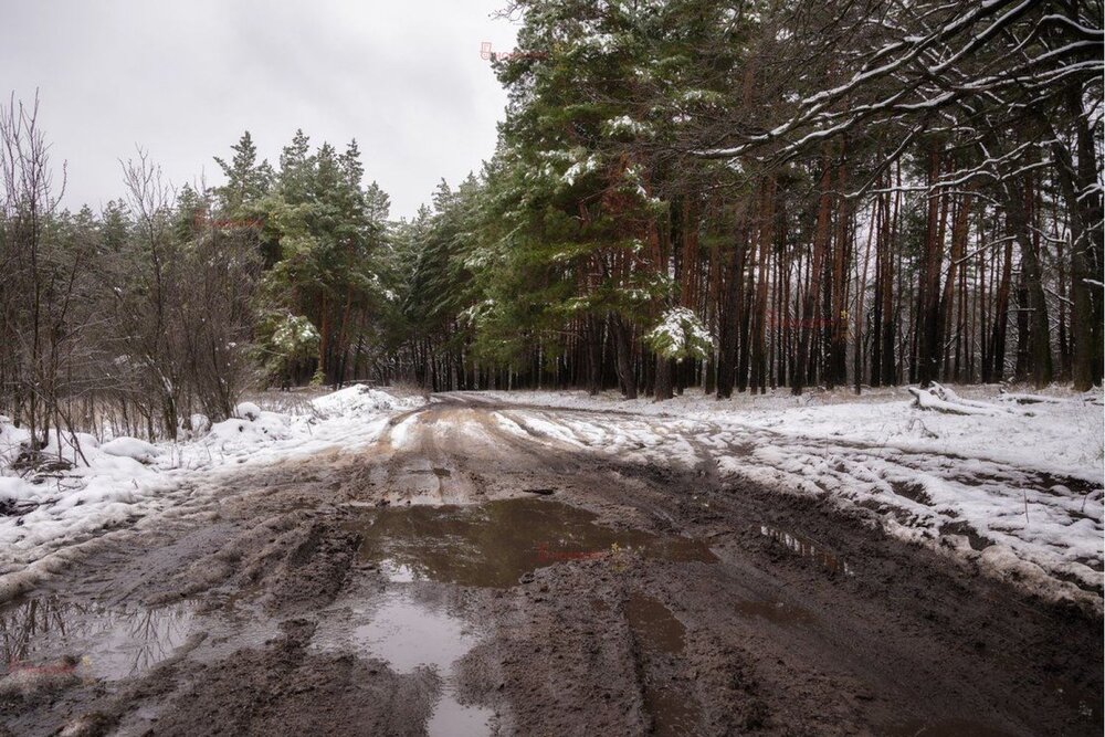 Екатеринбург, ул. Луговая, 56 (Верхнемакарово) - фото земельного участка (4)