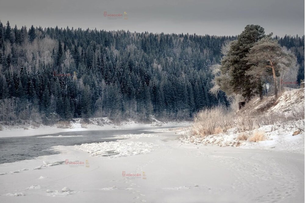 Екатеринбург, ул. Луговая, 56 (Верхнемакарово) - фото земельного участка (5)