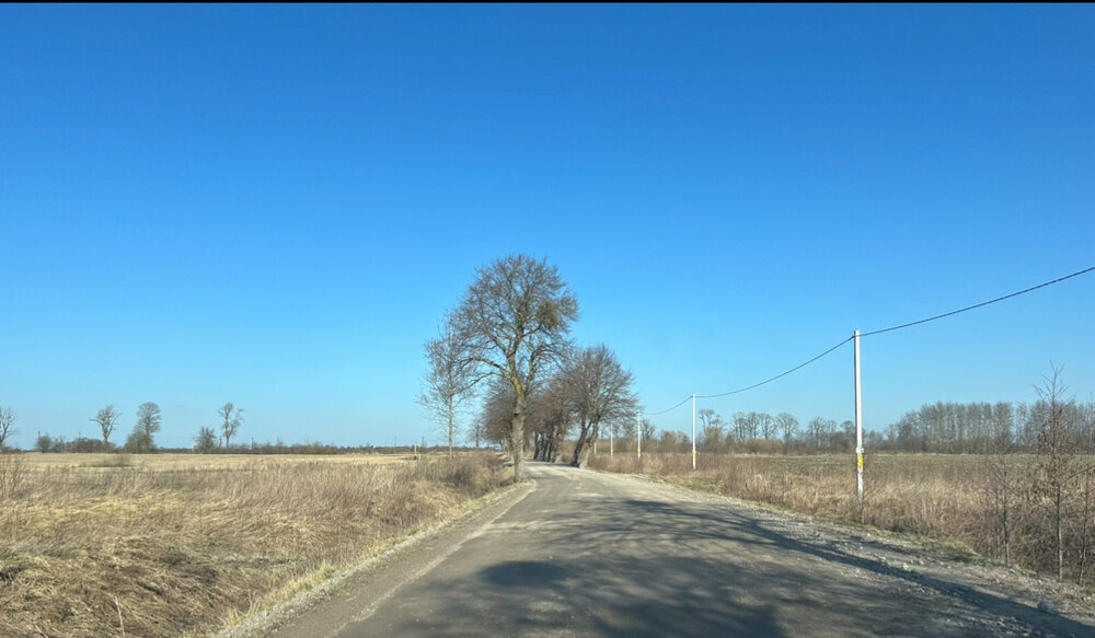 Калининград , ул. р-н Гурьевский, п Прохоровка, дорога Калининград-Полесск, 1 - фото земельного участка (5)