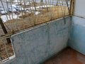 Продажа квартиры: Екатеринбург, ул. Луначарского, 225 (Парковый) - Фото 7