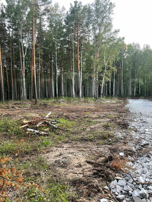 п. Кедровое, ул. Тихая, 7 (городской округ Верхняя Пышма) - фото коттеджа/дома/дачи (8)