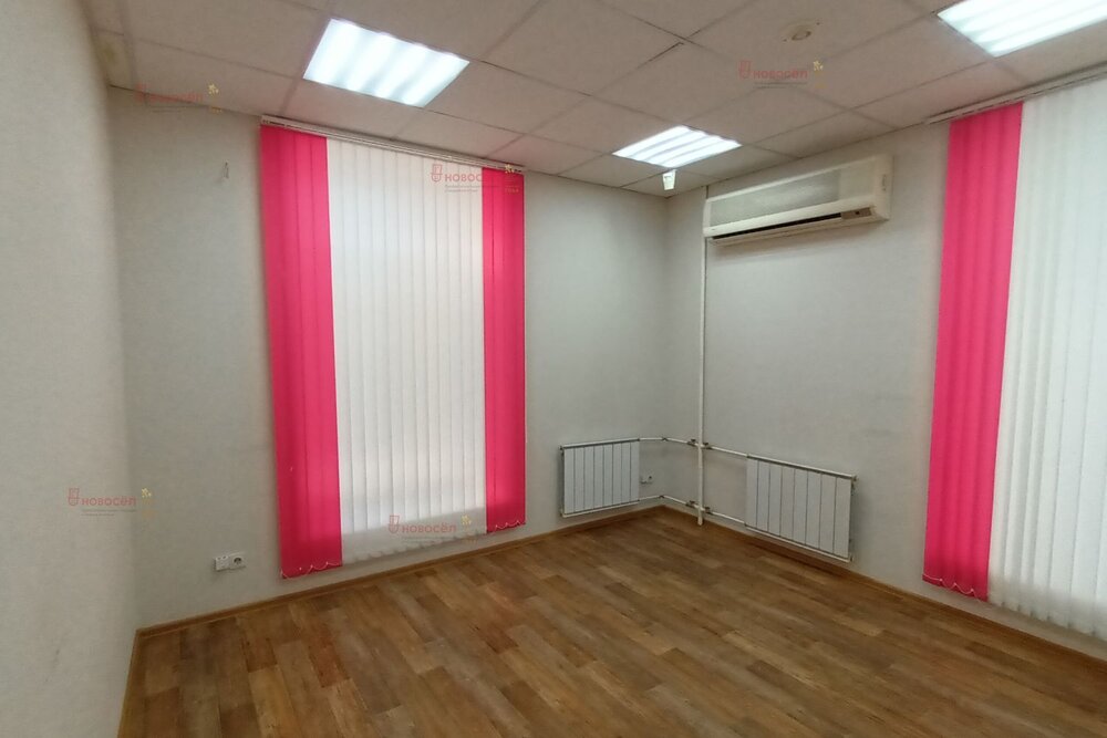 Екатеринбург, ул. Челюскинцев, 70 (Центр) - фото офисного помещения (5)