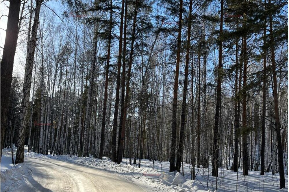 к.п. Улесье, ул. Гранатовая (Чкаловский район) - фото земельного участка (8)