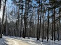 Продажа земельного участка: к.п. Улесье, ул. Гранатовая (Чкаловский район) - Фото 8