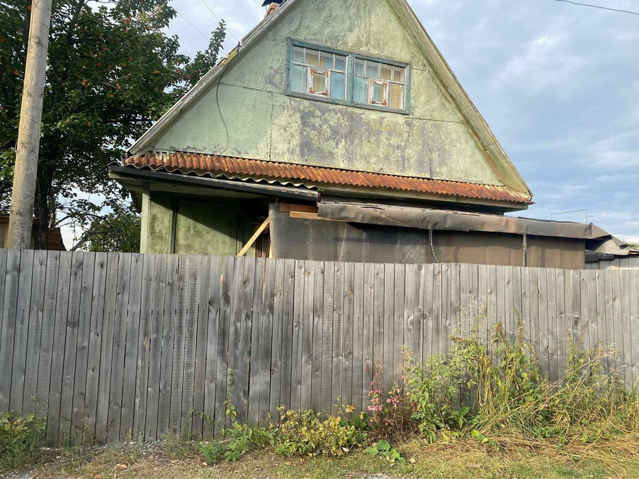 г. Верхняя Пышма, СНТ Ромашка (городской округ Верхняя Пышма) - фото сада (1)