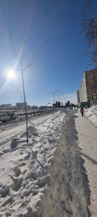 Екатеринбург, ул. Чкалова, 250 (УНЦ) - фото торговой площади (6)