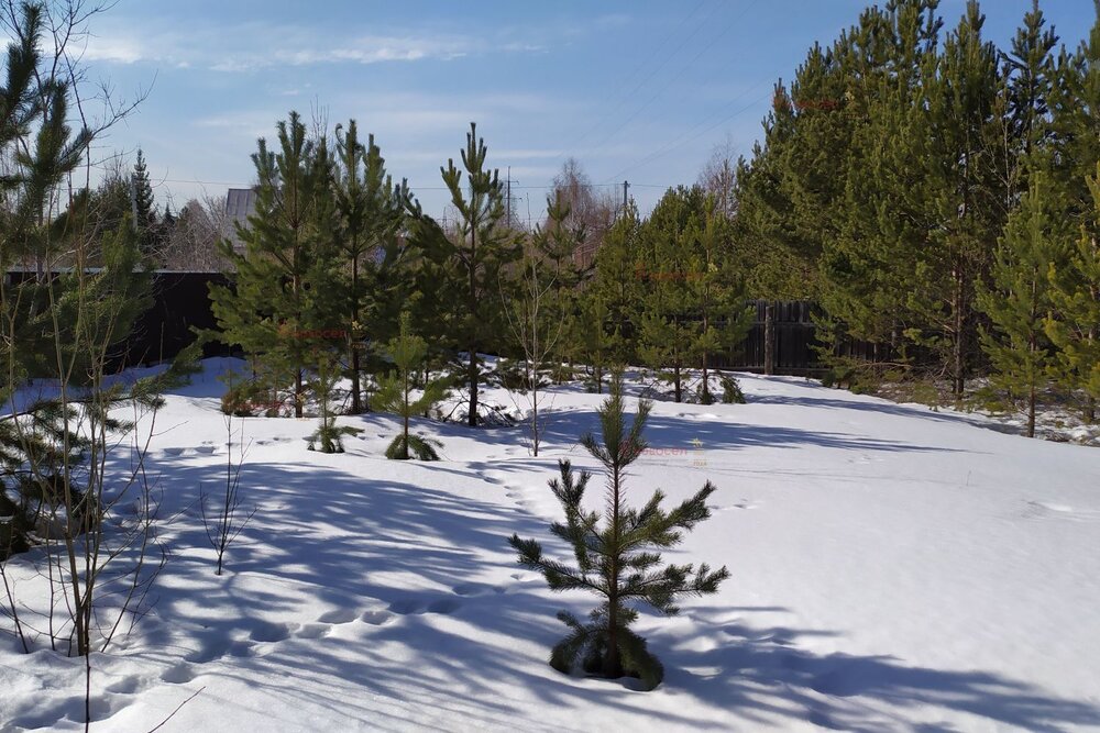 г. Березовский, ул. Солнечная, 18 (городской округ Березовский) - фото дома (4)