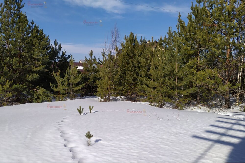 г. Березовский, ул. Солнечная, 18 (городской округ Березовский) - фото дома (5)