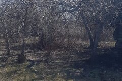 д. Голубинка, ул. Садовая, 8 (Челябинская область) - фото земельного участка