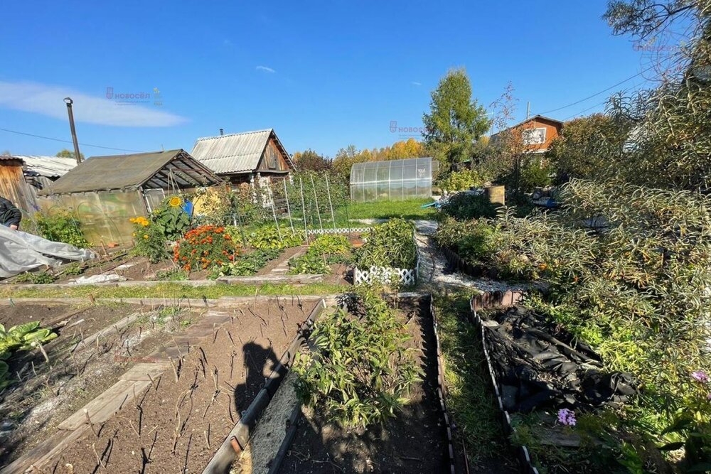 Купить Садовый Участок В Верхней Пышме Недорого