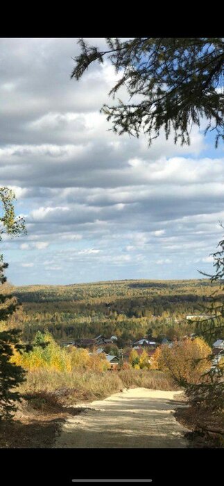 к.п. Межгорье, ул. Сосновая, 4 (городской округ Дегтярск) - фото земельного участка (2)