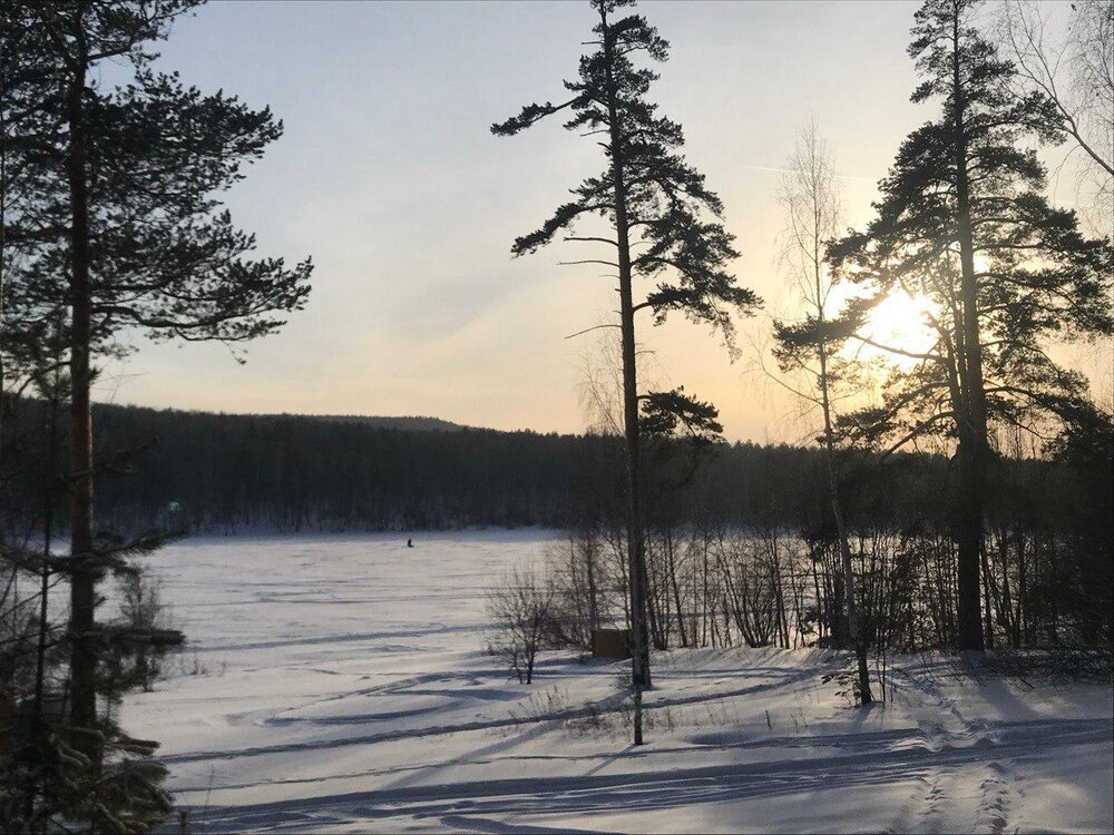 к.п. Межгорье, ул. Сосновая, 4 (городской округ Дегтярск) - фото земельного участка (4)