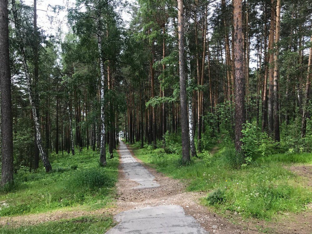 к.п. Межгорье, ул. Сосновая, 4 (городской округ Дегтярск) - фото земельного участка (8)